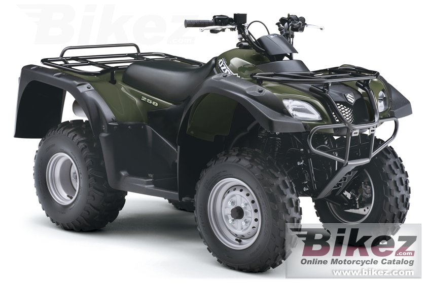 Suzuki Ozark 250 poster